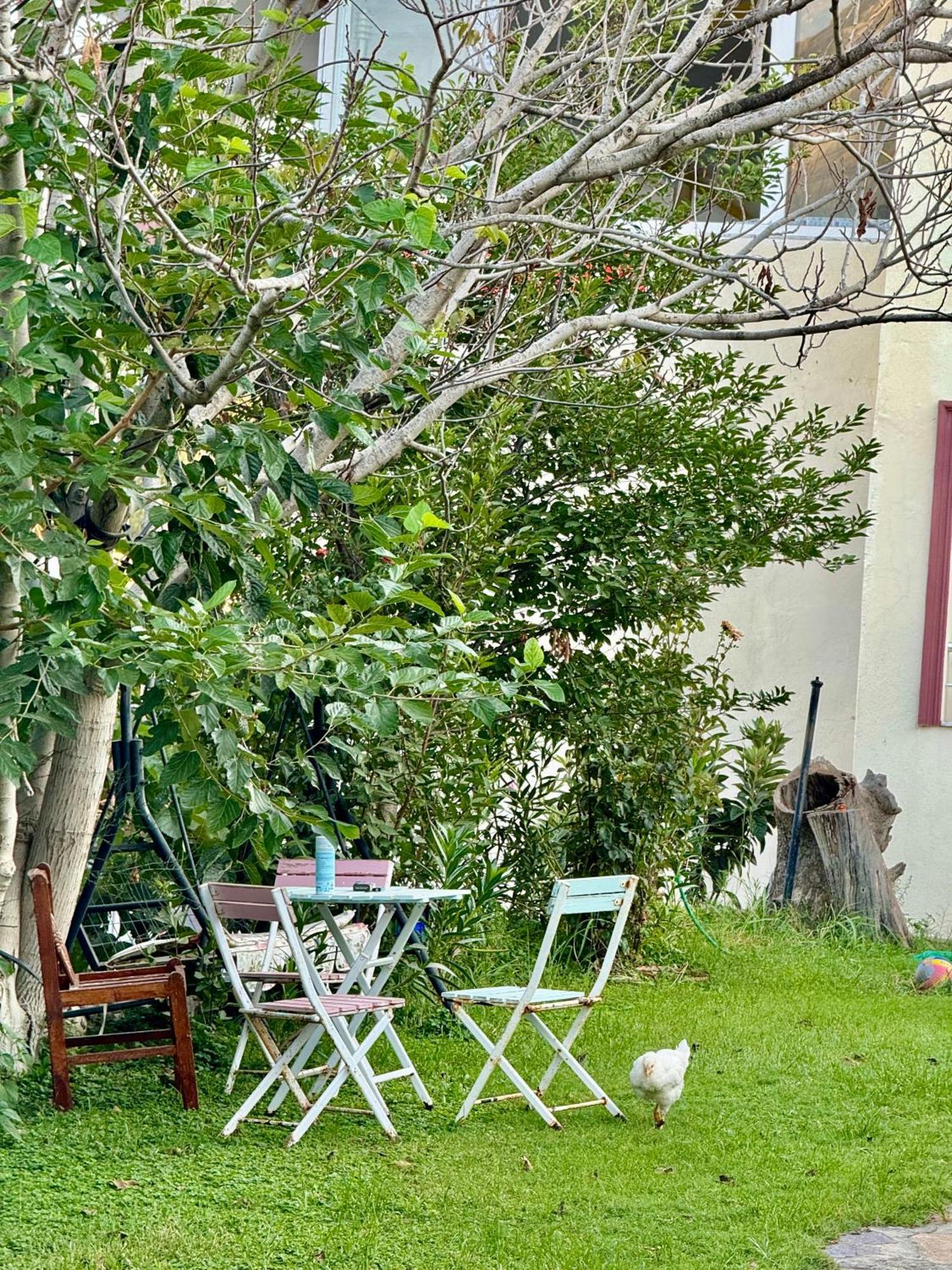 Rose Hotel B&B Patara Eksteriør billede